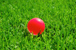 green grass pink ball