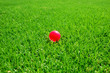 green grass pink ball