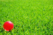 green grass pink ball
