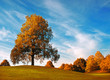 Herbst