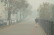 Smoke of forests fire gets in the city
