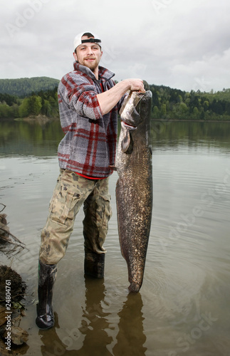 Photo: catfish catfish