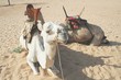 Camels
