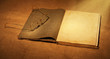 old book and glasses in ambient light