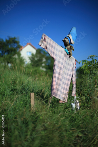 Photo: Scarecrow Scarecrow