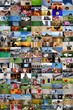 collage