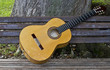 Acoustic guitare