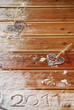 2011 bois et neige