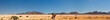 Die roten Dünen des Sossusvlei
