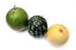 OGM frutta - biodiversità