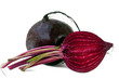 Beet vegetable