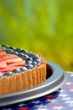Blueberry and strawberry cake at summer with green background Blueberry and strawberry cake at summer with green background