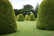 Topiary Topiary
