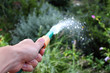Watering