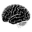 black and white human brain
