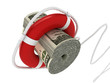 Lifebouy with dollar