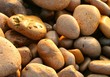 Round stones