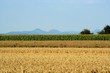Felder und Kaiserberge Felder und Kaiserberge