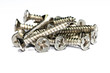 screw screw