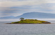 Tree on lonely island