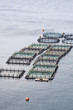 Aquaculture