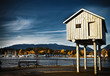 Photo: Coal harbour in Fall Coal harbour in Fall