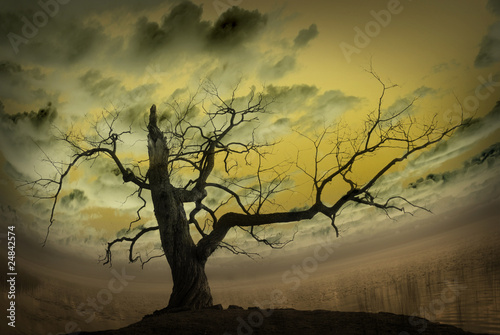 Photo: Abstract picture with bare tree Abstract picture with bare tree