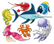 Photo en ligne au meilleur prix Marine life. Isolated cartoon and vector characters.