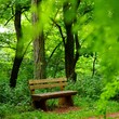 Waldspaziergang
