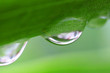 Wassertropfen Makro