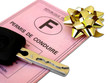Permis de conduire