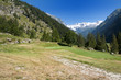Panorama alpino