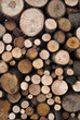 firewood