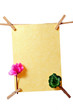 Papier Leine Alpenveilchen