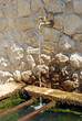 Acqua di sorgente in montagna