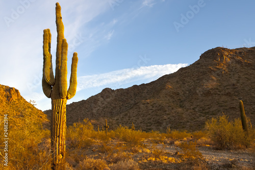 Photo: Arizona Desert Arizona Desert