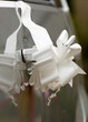 Ruban de mariage Ruban de mariage