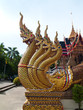 King of Nagas King of Nagas