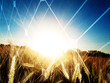 Solar energy concept