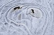 Eisgesicht im gefrorenen Bach