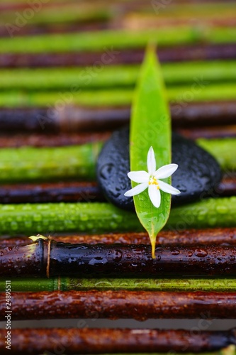 Foto: Wellness Wellness