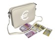Money Bag (Euro)