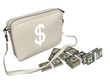 Money Bag (Dollars)
