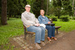 Happy senior couple in the park
