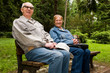 Happy senior couple in the park
