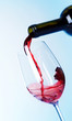 Wine Wine