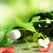 Bottle of red Wine and grape leaves