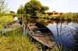 Marais de la Grande Brière (Loire-Atlantique)