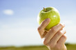 Apfel