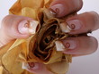 Airbrush Nails French Design weiss/beige